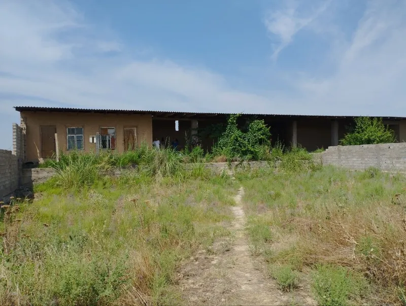 В Янгиюле, Халкободе продаётся дача 6 соток — есть кадастр 1 В Янгиюле, Халкободе продаётся дача 6 соток — есть кадастр 1