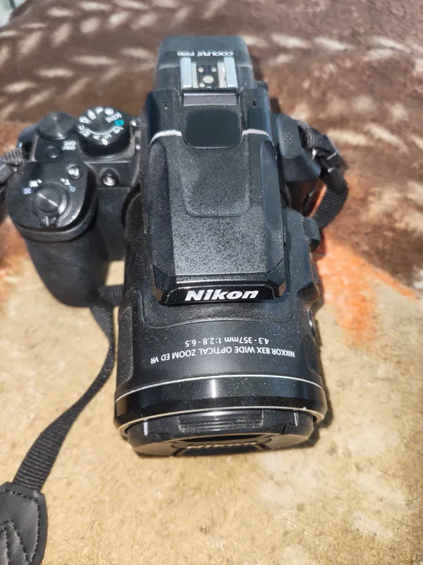 Nikon Coolpix P950 — фото 2