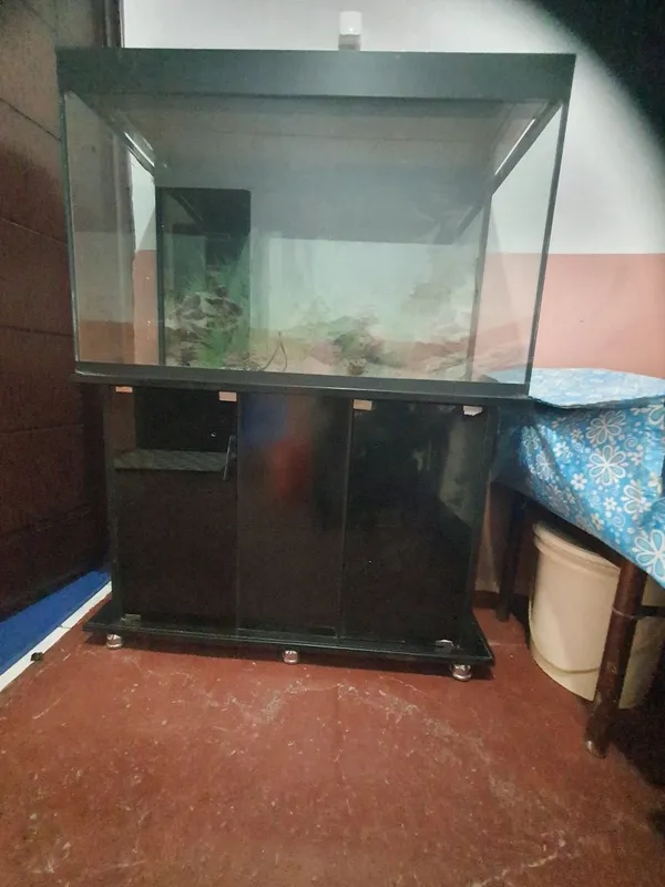 Akvarium sotiladi. Algoritm 31 kvartalda. 4 Akvarium sotiladi. Algoritm 31 kvartalda. 4