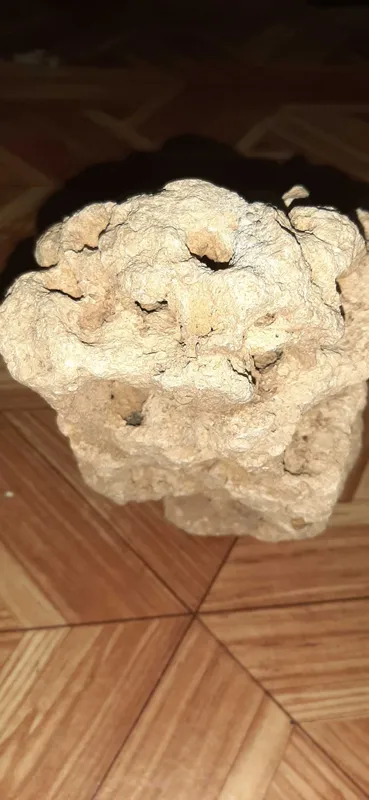 Уникальный исторический камень со дна моря 4 Уникальный исторический камень со дна моря 4