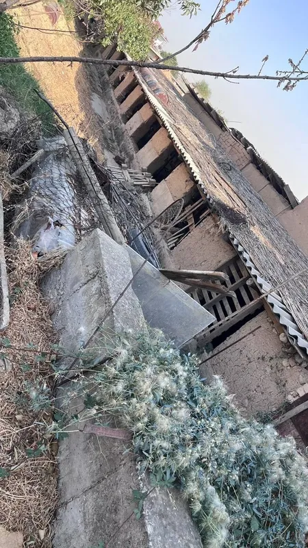 Срочно арендага берилади Мол бокишга мослашган — фото 3