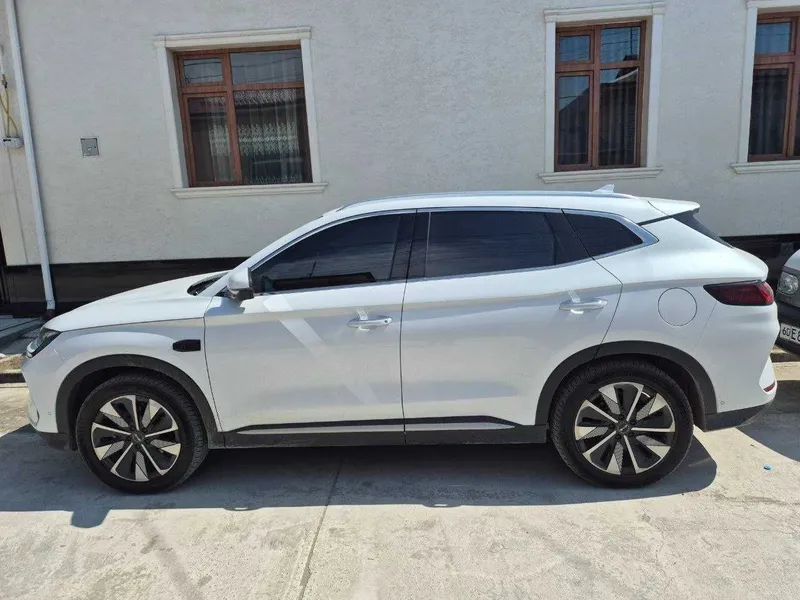 BYD Champion EV 605 – 2025 yi — фото 1