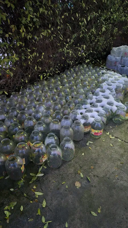 Бонка 3л 600та бор. — фото 1