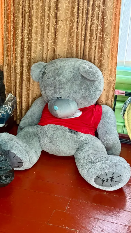 Teddy 3 Teddy 3