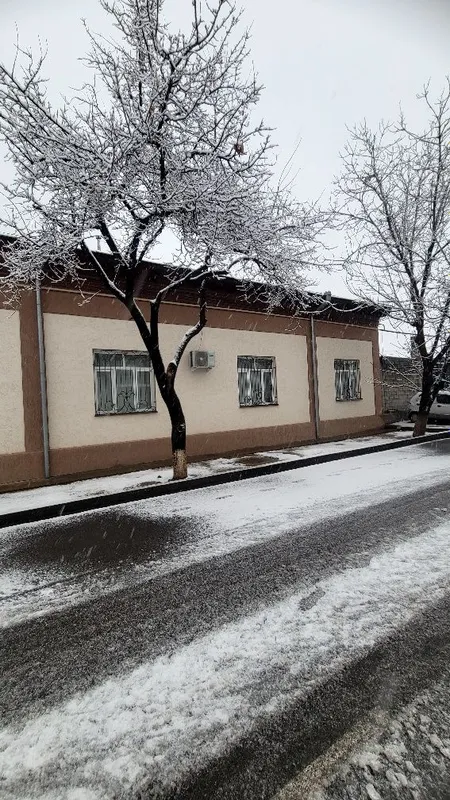 Yengi 16 yilli Bunyotkor maxxala 4 sotix yer sotiladi — фото 4