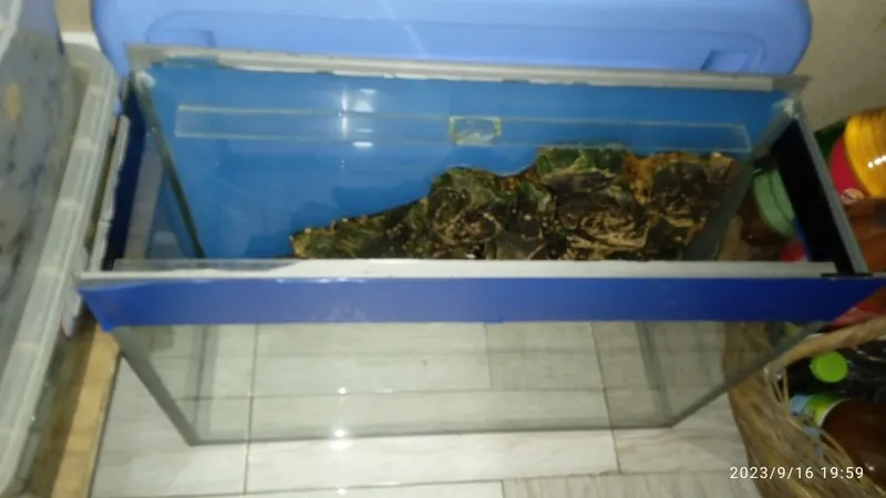 Аквариум стеклянный 8 Аквариум стеклянный 8