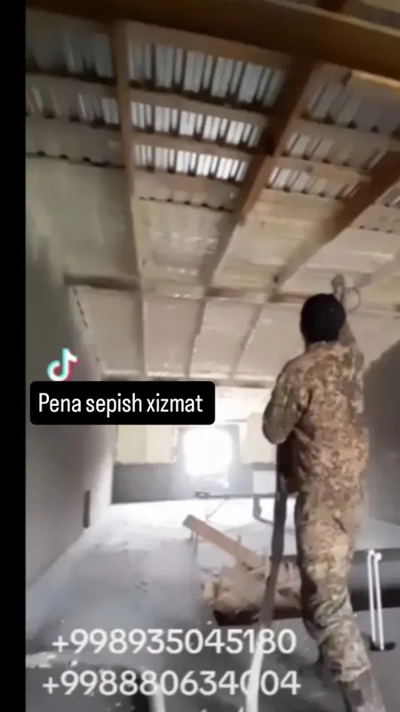 Pena sepish xizmat