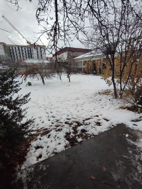 Продаётся участок вдоль дороги — фото 2