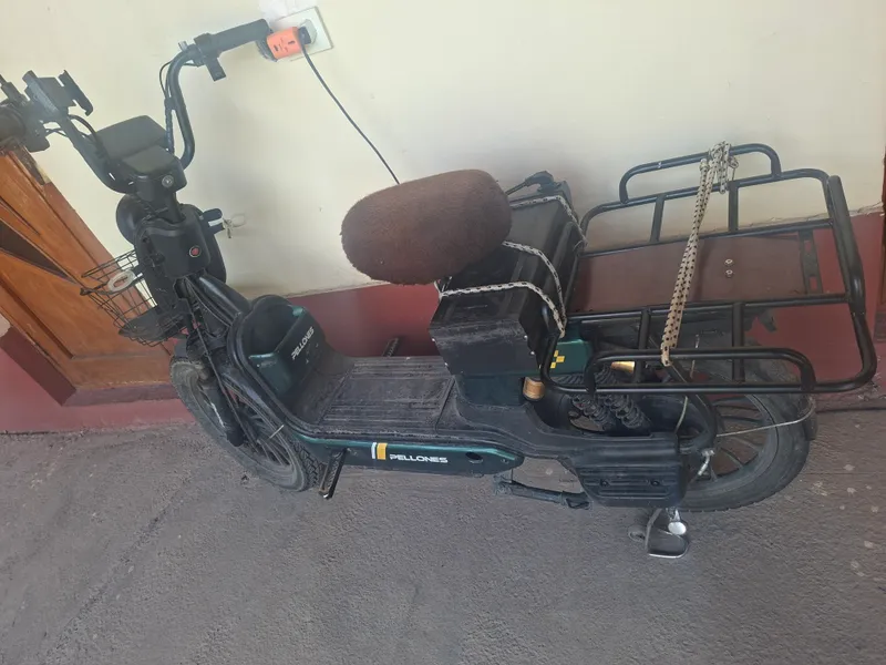Elektr Sukter 2