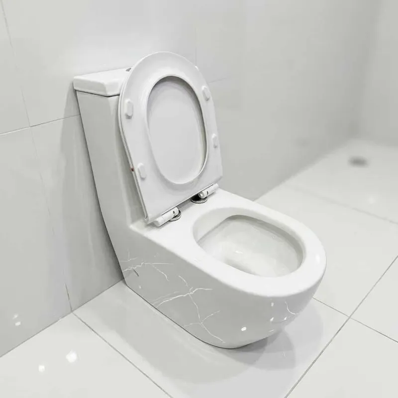 Унитаз литой со смывом Rimless Emerich 224