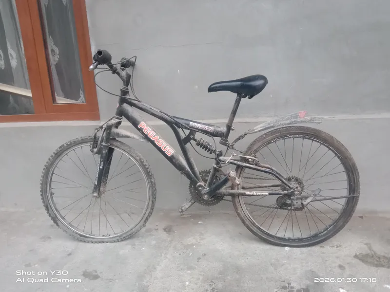 Velosiped pegasus aybi qol tormoz va skorost