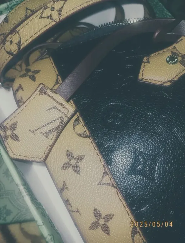 Louis Vuitton сумка — фото 1 Louis Vuitton сумка — фото 1