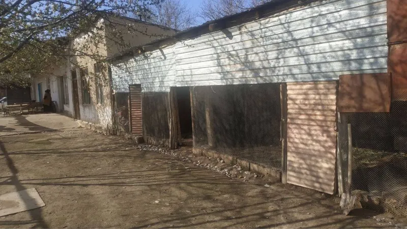 Uy xonadon sotiladi nazarbek obod mahallada — фото 1