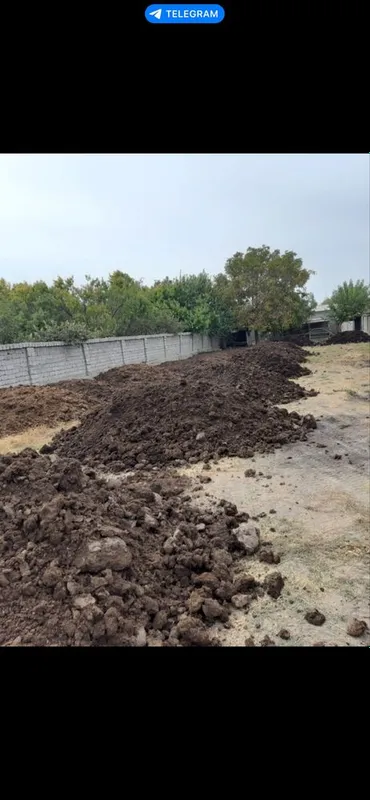 Biogumus barcha turdagi o’simliklar uchun tabiy og’it — фото 2