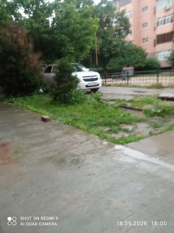 Kobalt mashinasi sotaman