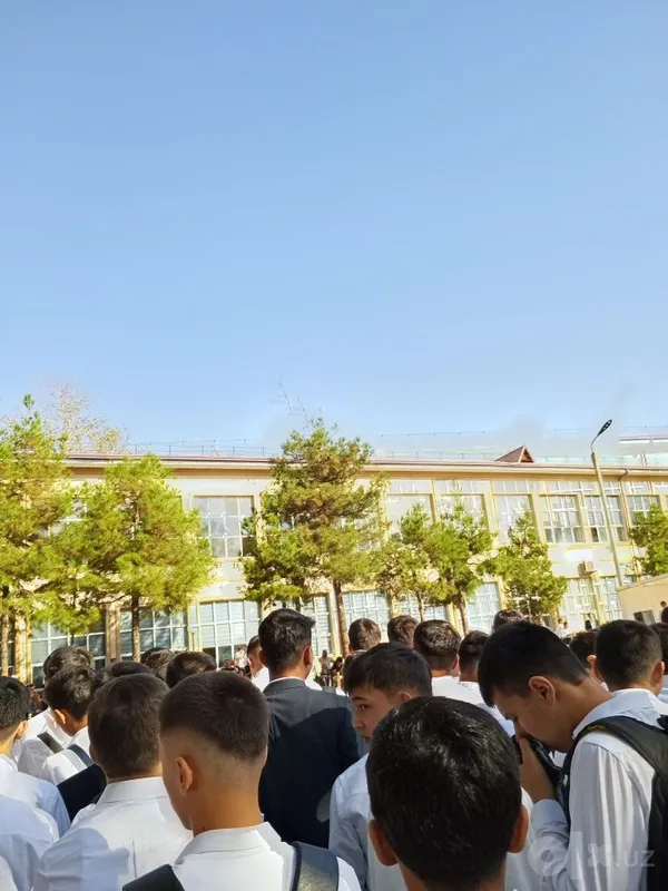Kitob sal eski ammo ichi yangidak uzum marketdan arzonroq 4 Kitob sal eski ammo ichi yangidak uzum marketdan arzonroq 4