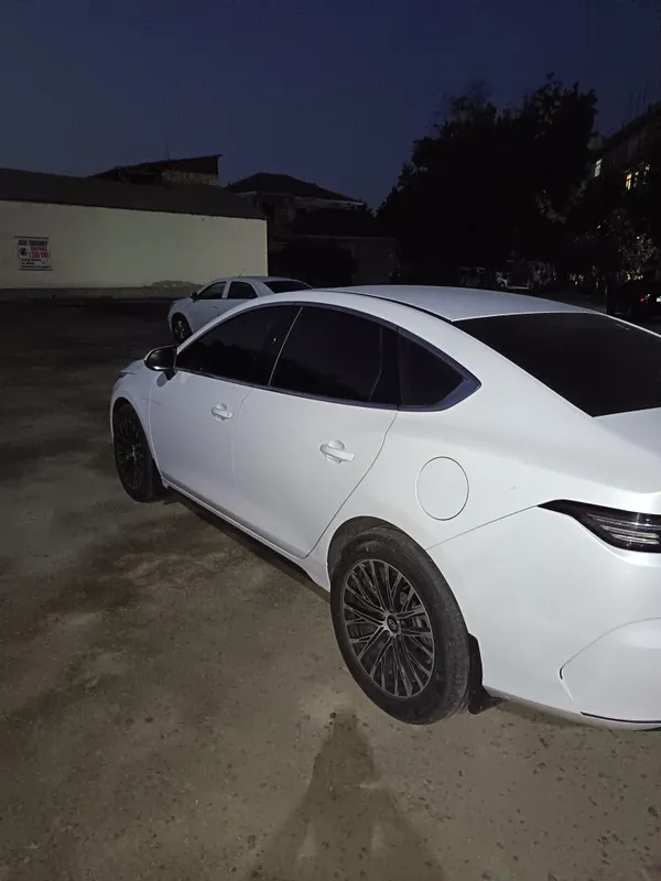 byd chazor GIBRID 3 byd chazor GIBRID 3