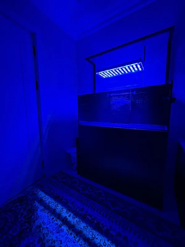 Dengiz akvariumlari Dengiz akvariumlari