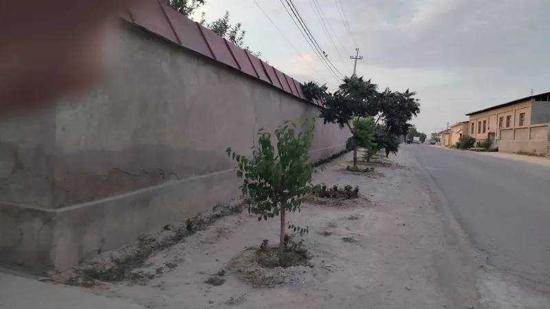 uchastka  sotiladi 16 yarim sotik 25 sotgi — фото 4