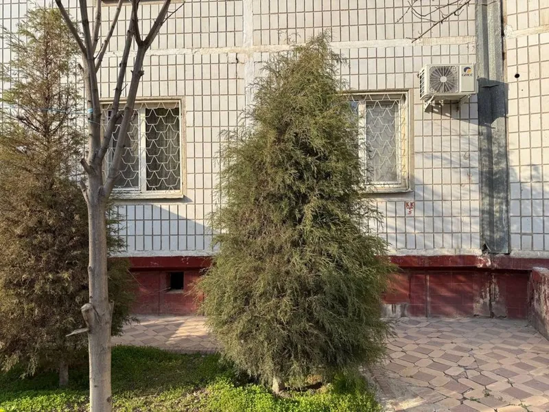5 xonali dom 1 etaj hovlisiyam bor — фото 2