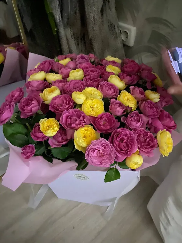 Самые свежие