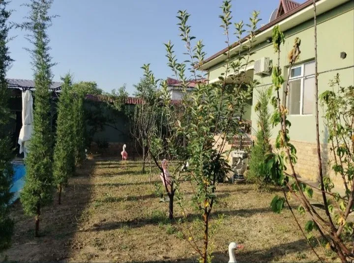 Срочно сдаётся участок в аренда янги узбекистан — фото 1