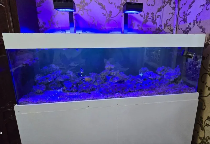 Морской аквариум и аксессуари