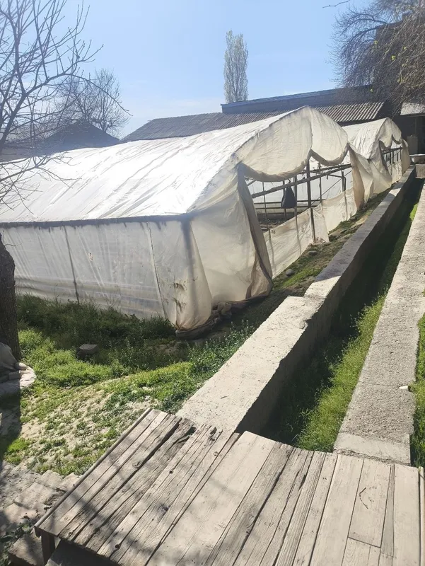 Hasanboy da 10 so'tik hovli sotiladi — фото 1