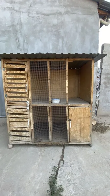 Kota qapas sotiladi 7 Kota qapas sotiladi 7