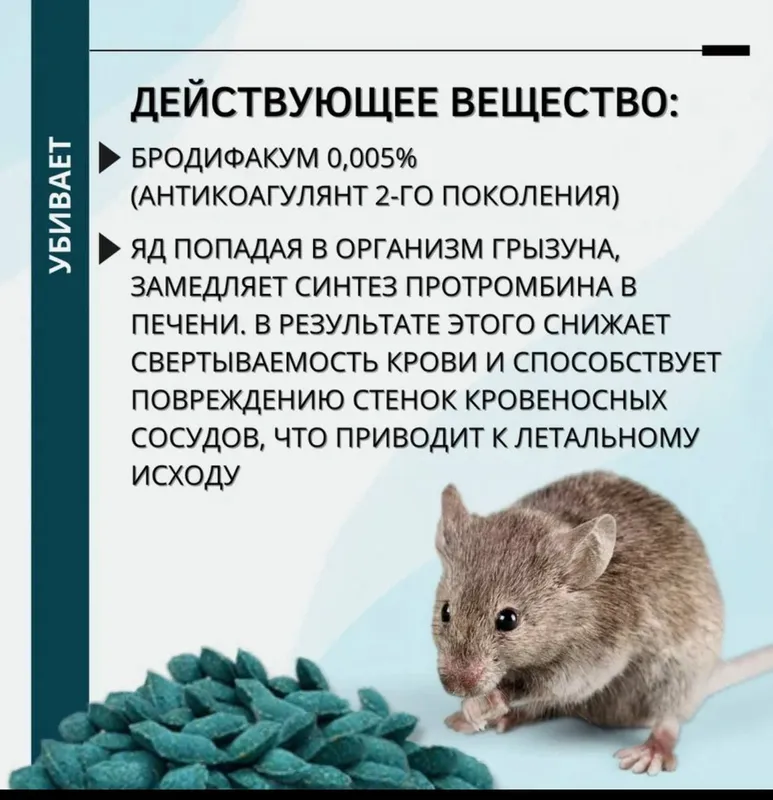 Килмайс отрава от крыс мышей 3 кг парафиновые брикеты — фото 5