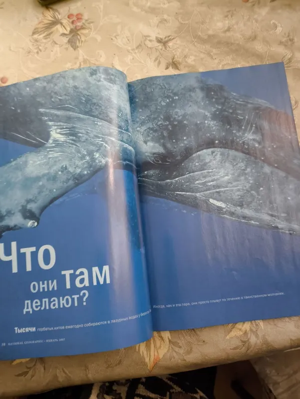 Журнал Nation geographic — фото 4