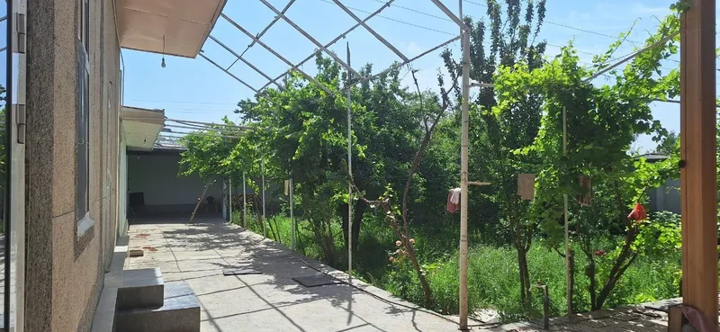 Umid Oftobjon lager pavarotidan kiraverishda hovli sotiladi — фото 1
