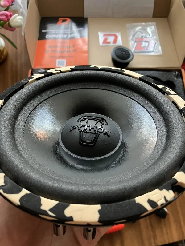 SQ Python 165 COMP DL Audio 1 SQ Python 165 COMP DL Audio 1