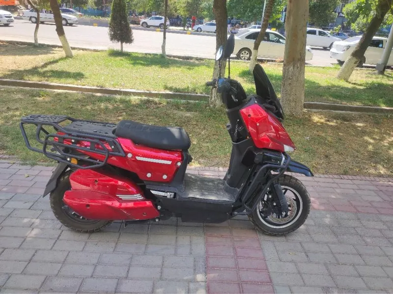 Skuter katta mator 1 Skuter katta mator 1