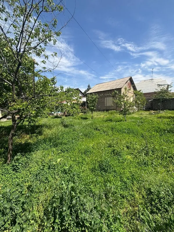 Mirobod tumani, Grinvich uchastkasi ijaraga 1