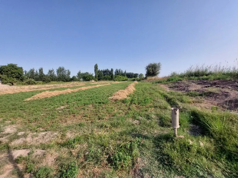 Продаётся участок. В Бекабадском районе Мавлянов — фото 1