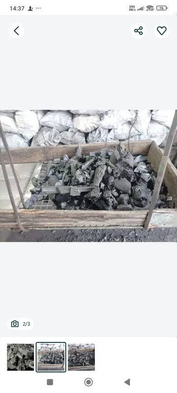 Pista koʻmir kafe va restaranlar uchun! 2