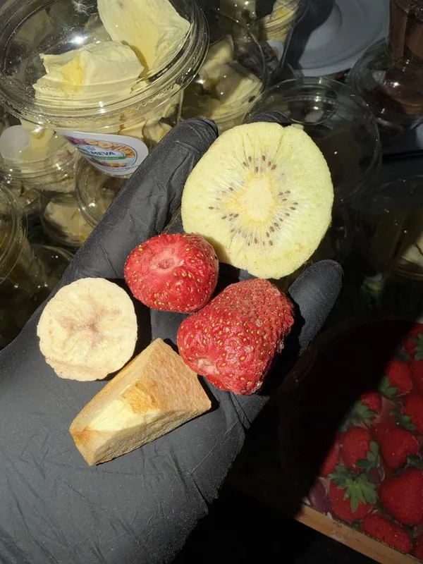 Meva Sublimatsiyalash aparati , freeze dryer — фото 2