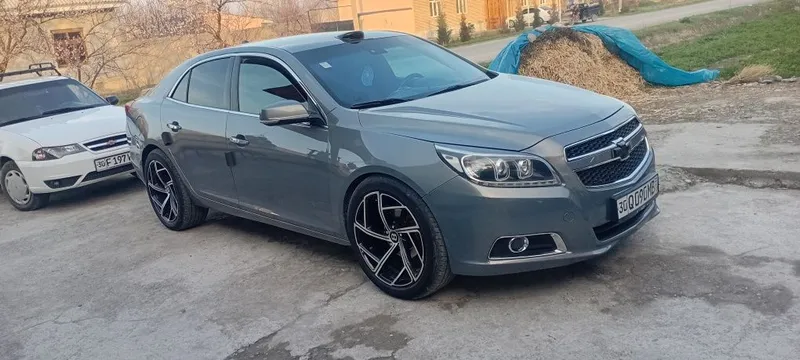 20 дика балон зор