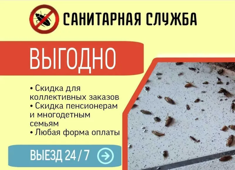 Обработка от насекомых Дезинфекция хизмати Ташкент клоп клапа таракан — фото 1
