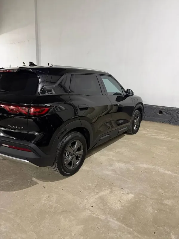 Byd yuan up 2026 3 Byd yuan up 2026 3