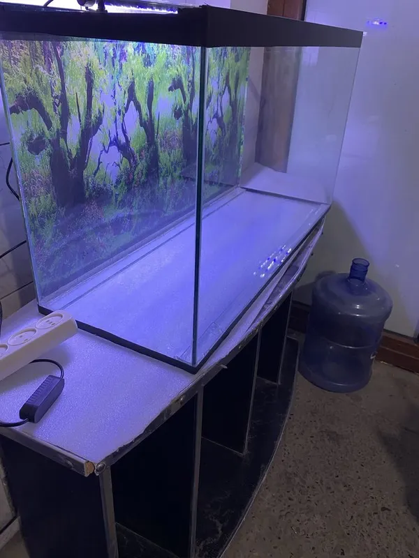 arzon akvarium laminat 3d fon 108.litr — фото 1