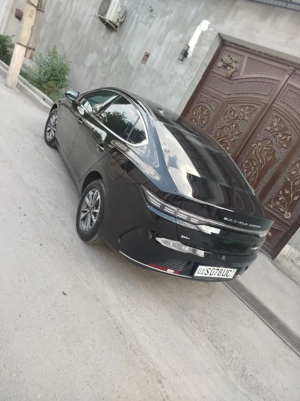 BYD CHAZOR 2024 7 BYD CHAZOR 2024 7