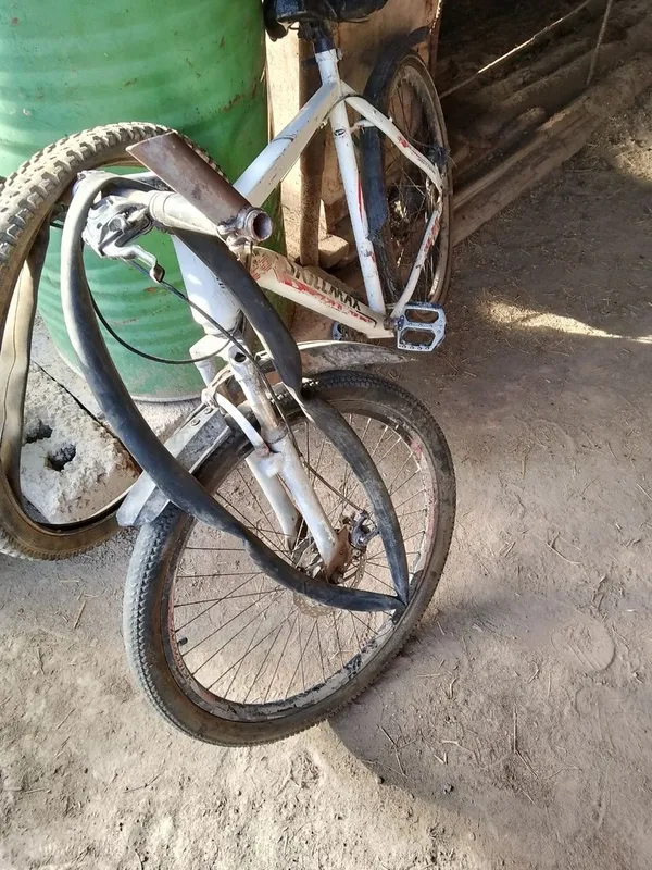 Velosiped 2 ta holati rasmda — фото 3
