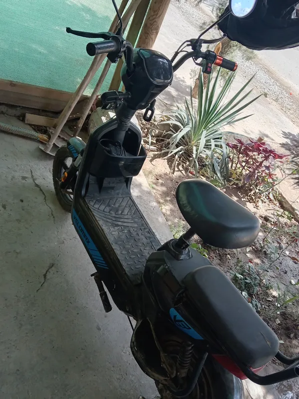 moped — фото 1