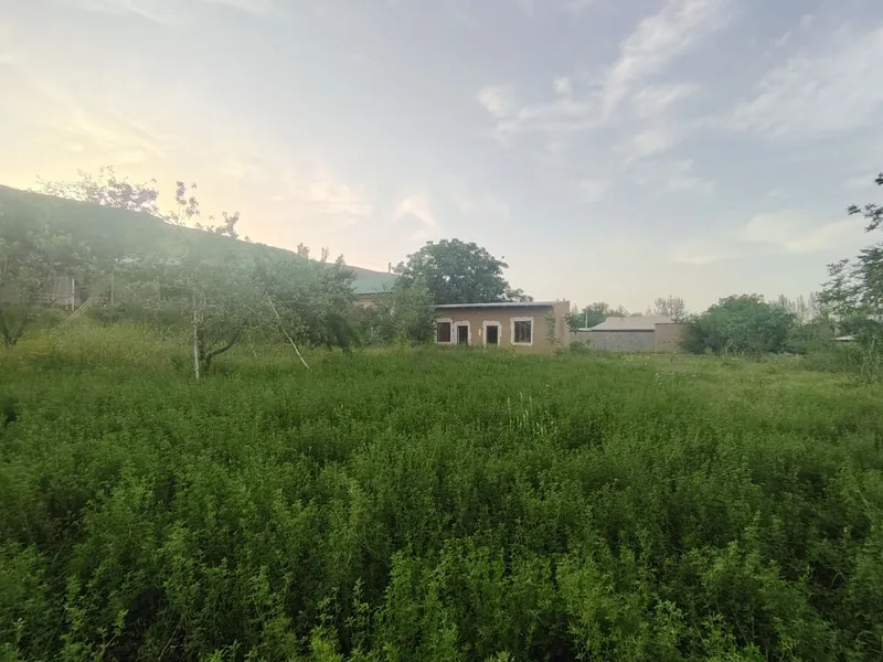 Dam olish maskani, Dacha va yashash uchun tabiat qo'ynidagi uchastka — фото 4