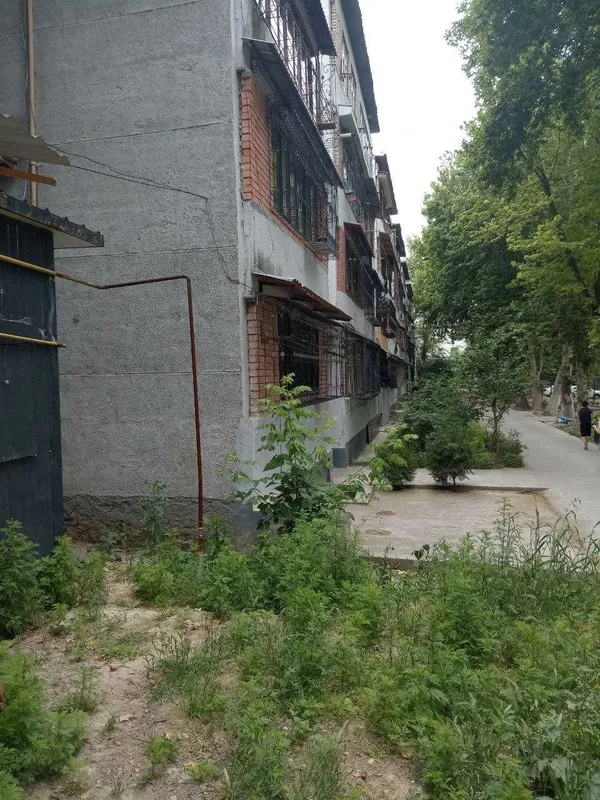 Нонвойхона Ижара. Аренда — фото 4