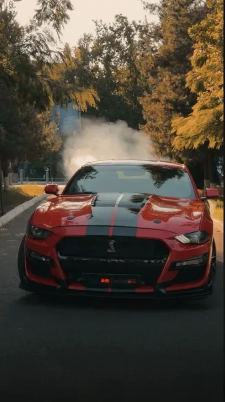 Mustang Shelby 2019 в идеальном состоянии 1 Mustang Shelby 2019 в идеальном состоянии 1