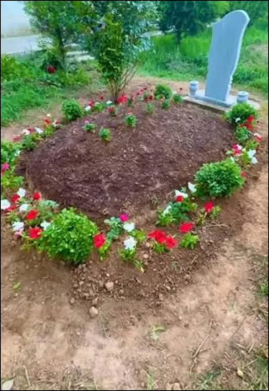 Gul ekish xizmati 1 Gul ekish xizmati 1