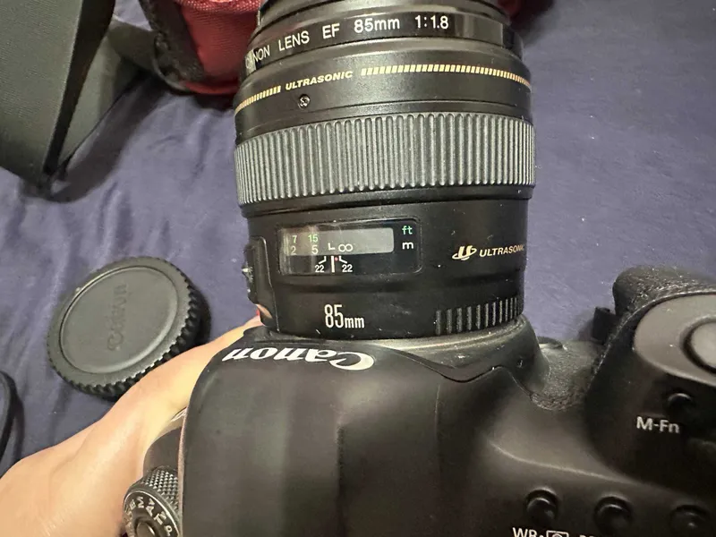 Canon EOS 5D Mark IV + портретный объектив 85mm 3